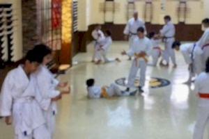 Çocuk Aikido Ders Fotoğraf