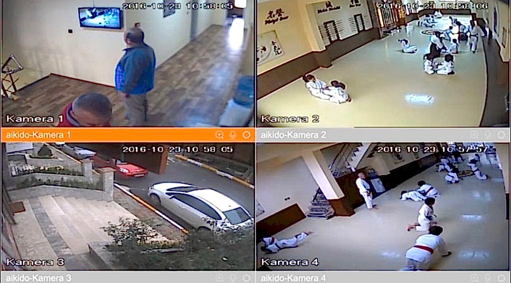 Online Aikido
