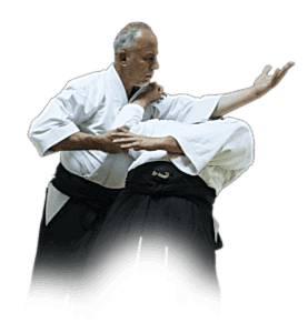 Sedat Ilgar Sensei